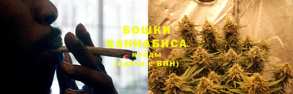 гидра Лагань
